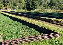 Les bassins de culture